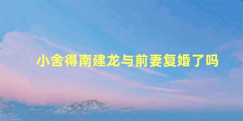 小舍得南建龙与前妻复婚了吗