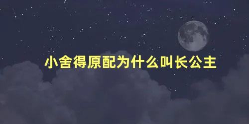小舍得原配为什么叫长公主