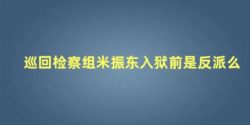巡回检察组米振东入狱前是反派么
