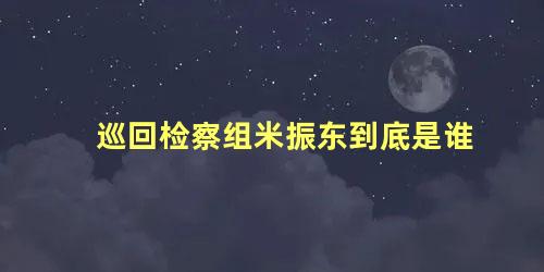 巡回检察组米振东到底是谁