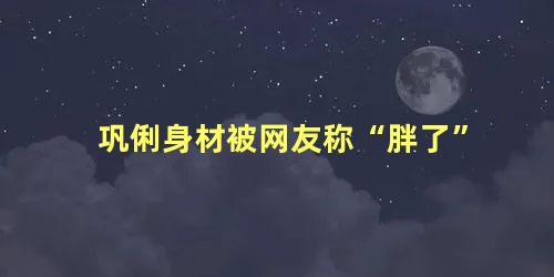 巩俐身材被网友称“胖了”