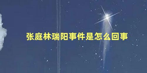 张庭林瑞阳事件是怎么回事