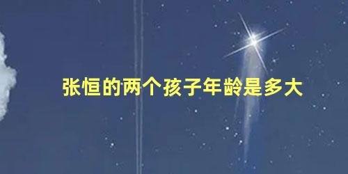 张恒的两个孩子年龄是多大