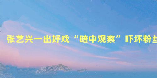 张艺兴一出好戏“暗中观察”吓坏粉丝