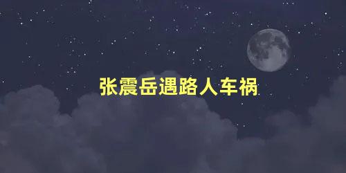 张震岳遇路人车祸