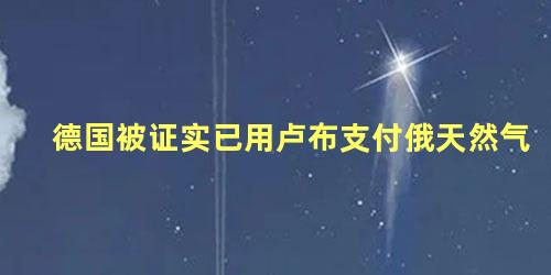 德国被证实已用卢布支付俄天然气