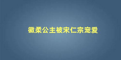 徽柔公主被宋仁宗宠爱