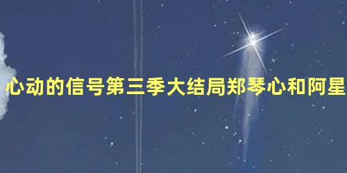 心动的信号第三季大结局郑琴心和阿星在一起了吗