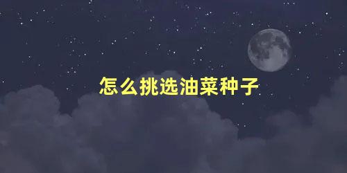 怎么挑选油菜种子