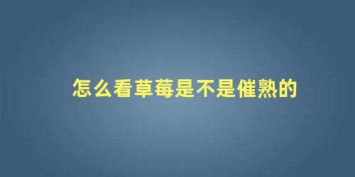 怎么看草莓是不是催熟的