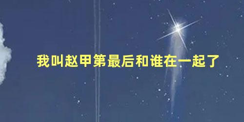 我叫赵甲第最后和谁在一起了