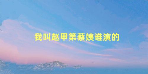 我叫赵甲第蔡姨谁演的