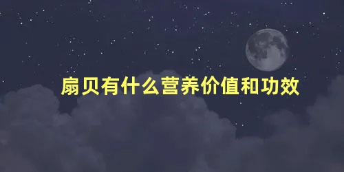 扇贝有什么营养价值和功效