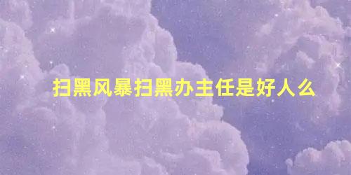 扫黑风暴扫黑办主任是好人么