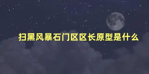 扫黑风暴石门区区长原型是什么