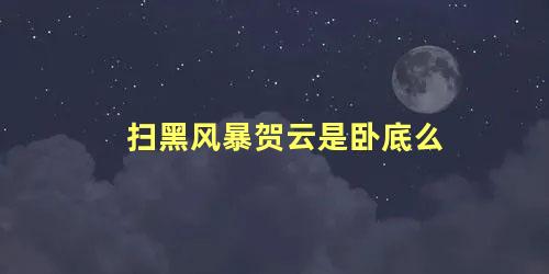扫黑风暴贺云是卧底么