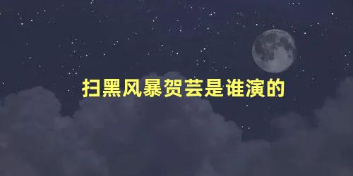 扫黑风暴贺芸是谁演的