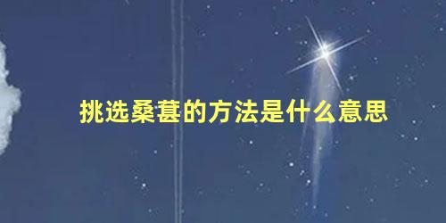 挑选桑葚的方法是什么意思