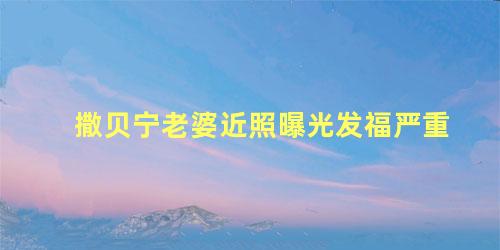 撒贝宁老婆近照曝光发福严重