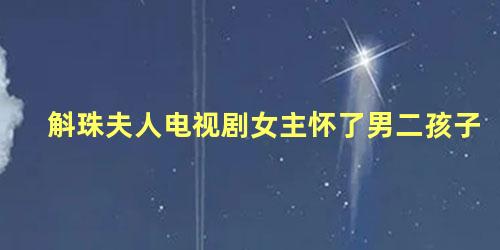 斛珠夫人电视剧女主怀了男二孩子