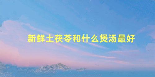 新鲜土茯苓和什么煲汤最好