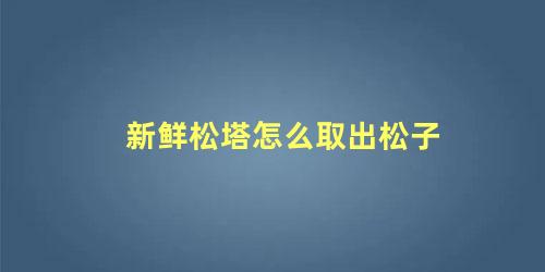 新鲜松塔怎么取出松子