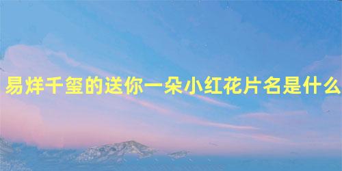易烊千玺的送你一朵小红花片名是什么意思