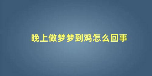 晚上做梦梦到鸡怎么回事
