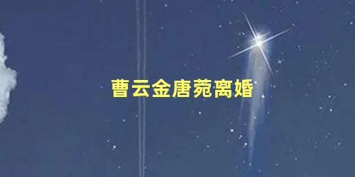 曹云金唐菀离婚