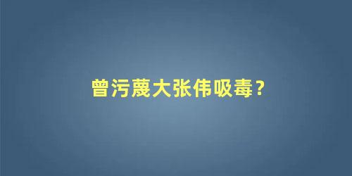 曾污蔑大张伟吸毒？