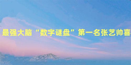 最强大脑“数字谜盘”第一名张艺帅喜提热搜