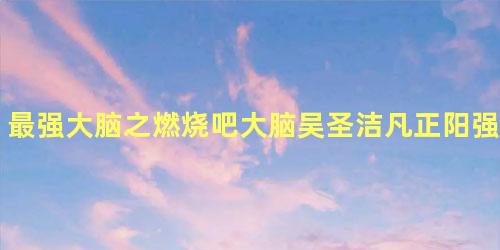 最强大脑之燃烧吧大脑吴圣洁凡正阳强强联手