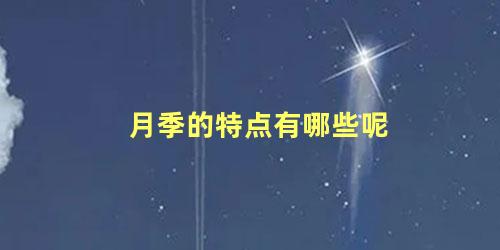 月季的特点有哪些呢