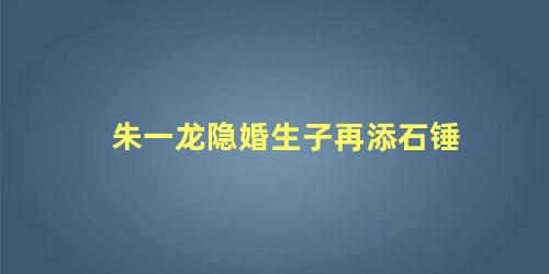 朱一龙隐婚生子再添石锤