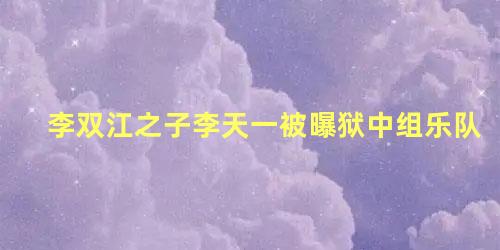 李双江之子李天一被曝狱中组乐队