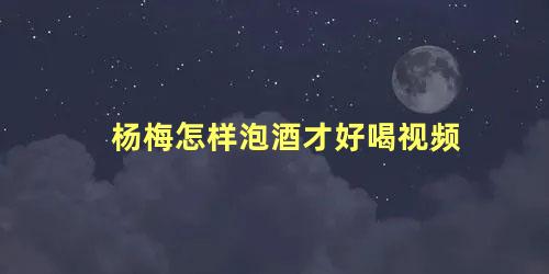 杨梅怎样泡酒才好喝视频