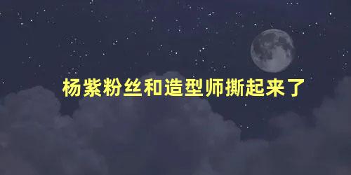 杨紫粉丝和造型师撕起来了