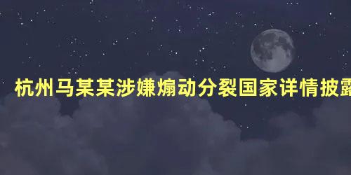 杭州马某某涉嫌煽动分裂国家详情披露