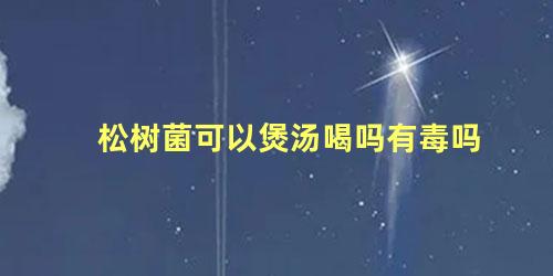 松树菌可以煲汤喝吗有毒吗