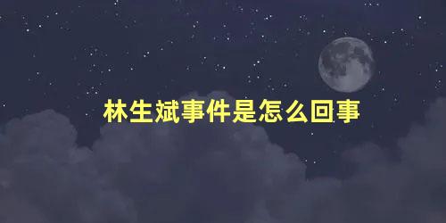 林生斌事件是怎么回事