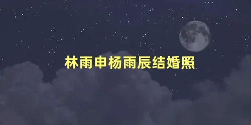 林雨申杨雨辰结婚照