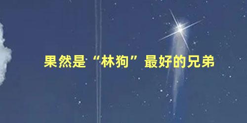 果然是“林狗”最好的兄弟