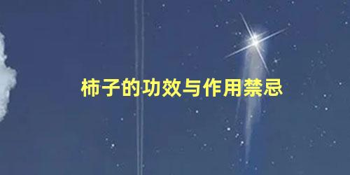 柿子的功效与作用禁忌