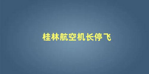 桂林航空机长停飞
