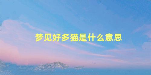 梦见好多猫是什么意思