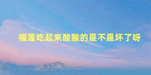 榴莲吃起来酸酸的是不是坏了呀