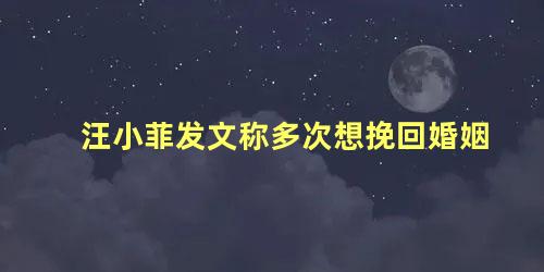 汪小菲发文称多次想挽回婚姻