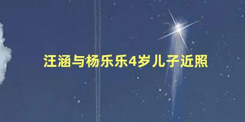 汪涵与杨乐乐4岁儿子近照