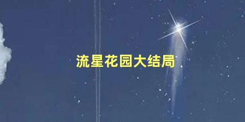 流星花园大结局