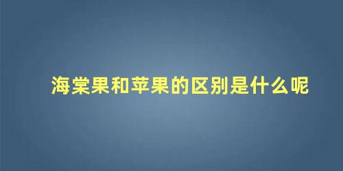 海棠果和苹果的区别是什么呢